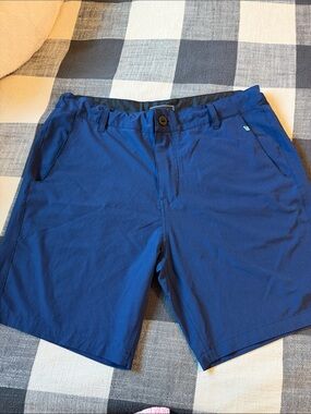 Lost Men's Royal Blue Hybrid Shorts